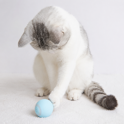 Purrio™ Akıllı Hareketli Kedi Topu
