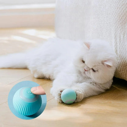 Purrio™ Akıllı Hareketli Kedi Topu