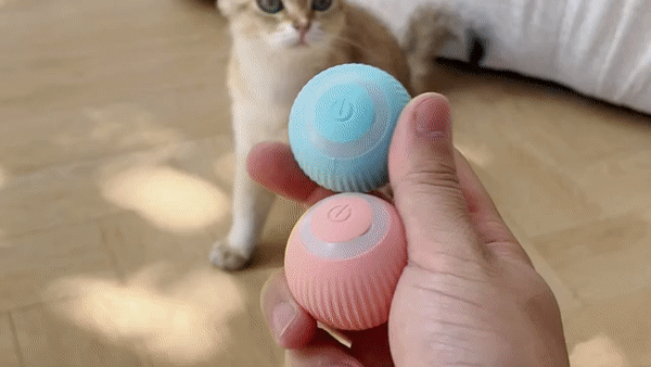 Animasyonlu GIF